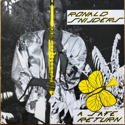 Ronald Snijders — A Safe Return, sleeve