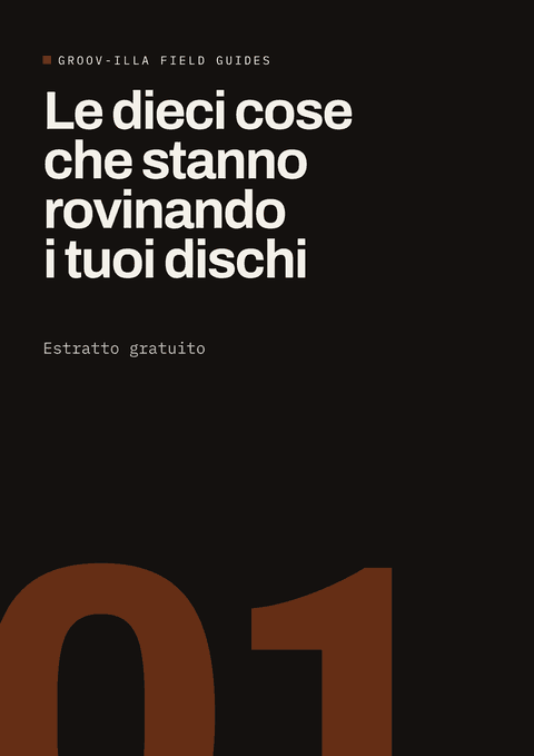 Copertina del manuale Le dieci cose che stanno rovinando i tuoi dischi